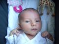 img004.jpeg.small.jpeg