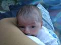 img008.jpeg.small.jpeg