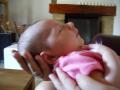 img012.jpeg.small.jpeg