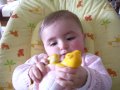 img012.jpeg.small.jpeg