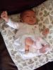 img001.jpeg.small.jpeg