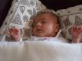 img004.jpeg.small.jpeg