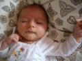 img005.jpeg.small.jpeg