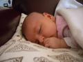 img006.jpeg.small.jpeg