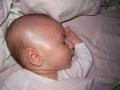 img009.jpeg.small.jpeg