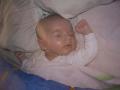 img010.jpeg.small.jpeg