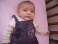 img011.jpeg.small.jpeg