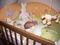 img012.jpeg.small.jpeg
