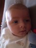 013-dscf1376.jpg.small.jpeg