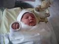 img001.jpeg.small.jpeg