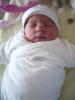 img002.jpeg.small.jpeg