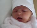 img003.jpeg.small.jpeg