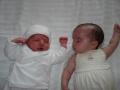img007.jpeg.small.jpeg