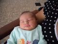 img022.jpeg.small.jpeg