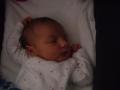img024.jpeg.small.jpeg