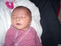 img026.jpeg.small.jpeg