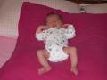 img028.jpeg.small.jpeg