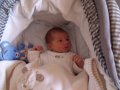 026-DSCF1203.JPG.small.jpeg