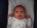 img000.jpeg.small.jpeg