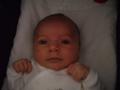 img004.jpeg.small.jpeg