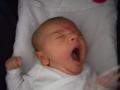 img005.jpeg.small.jpeg