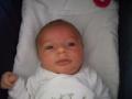 img006.jpeg.small.jpeg