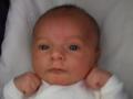 img007.jpeg.small.jpeg