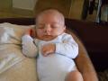 img009.jpeg.small.jpeg