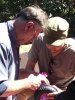 img013.jpeg.small.jpeg