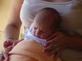 img009.jpeg.small.jpeg