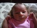 img002.jpeg.small.jpeg