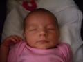 img004.jpeg.small.jpeg
