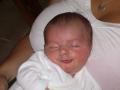 img006.jpeg.small.jpeg