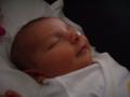 img007.jpeg.small.jpeg