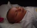 img008.jpeg.small.jpeg