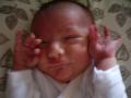 img009.jpeg.small.jpeg