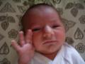 img010.jpeg.small.jpeg
