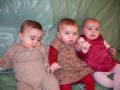img007.jpeg.small.jpeg