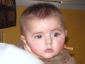 img015.jpeg.small.jpeg