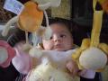 img000.jpeg.small.jpeg