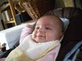 img003.jpeg.small.jpeg