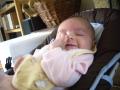 img005.jpeg.small.jpeg