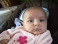 img006.jpeg.small.jpeg
