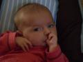 img011.jpeg.small.jpeg