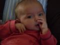 img012.jpeg.small.jpeg
