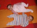 img000.jpeg.small.jpeg