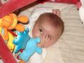 img001.jpeg.small.jpeg