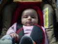 img002.jpeg.small.jpeg