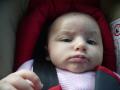 img003.jpeg.small.jpeg
