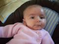 img005.jpeg.small.jpeg